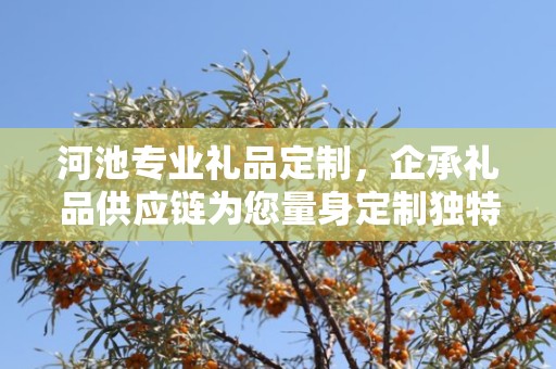 河池专业礼品定制，企承礼品供应链为您量身定制独特礼品